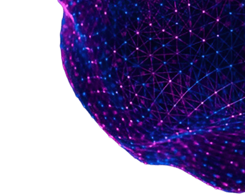 E-commerce & Plugin Development